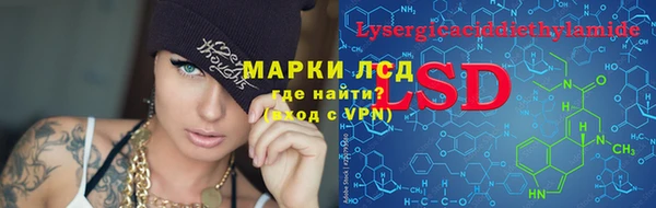 сатива Алзамай