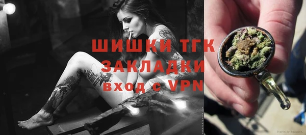 сатива Алзамай
