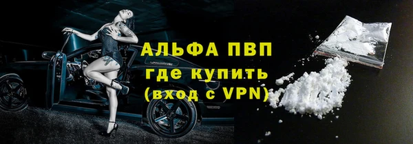СК Алексин