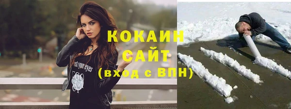 СК Алексин