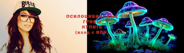сатива Алзамай