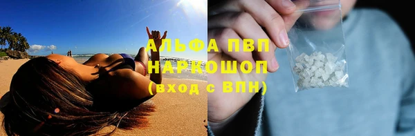 СК Алексин