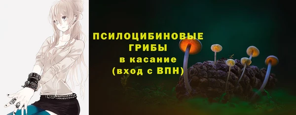 СК Алексин