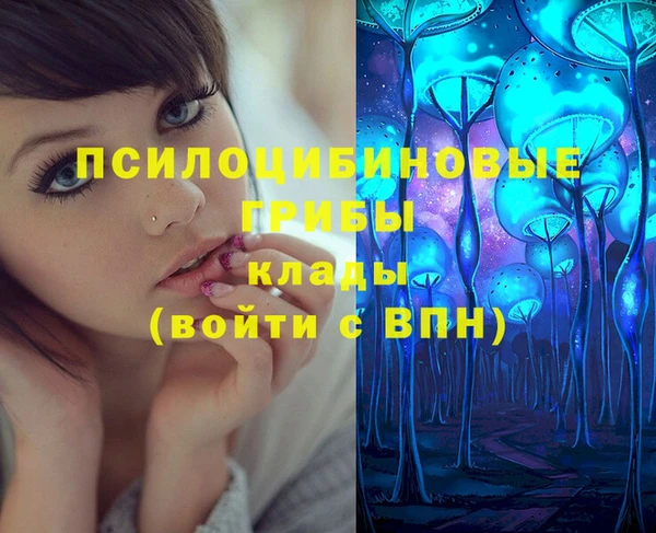 СК Алексин